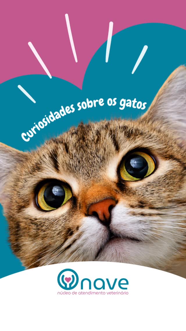 NAVE amor que acolhe