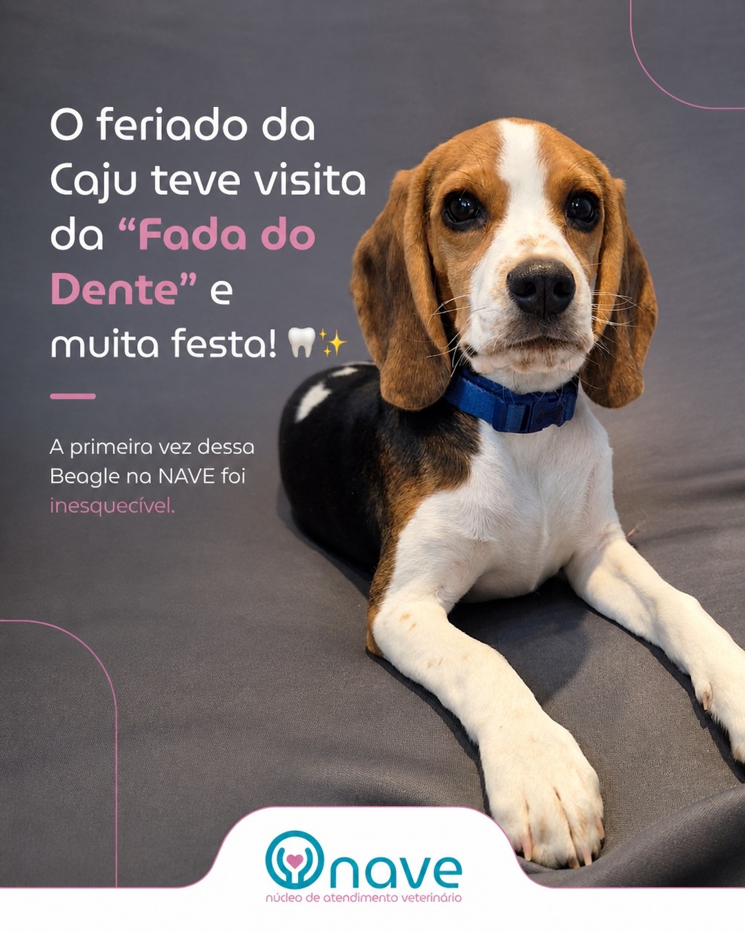A Caju e a Fada do Dente