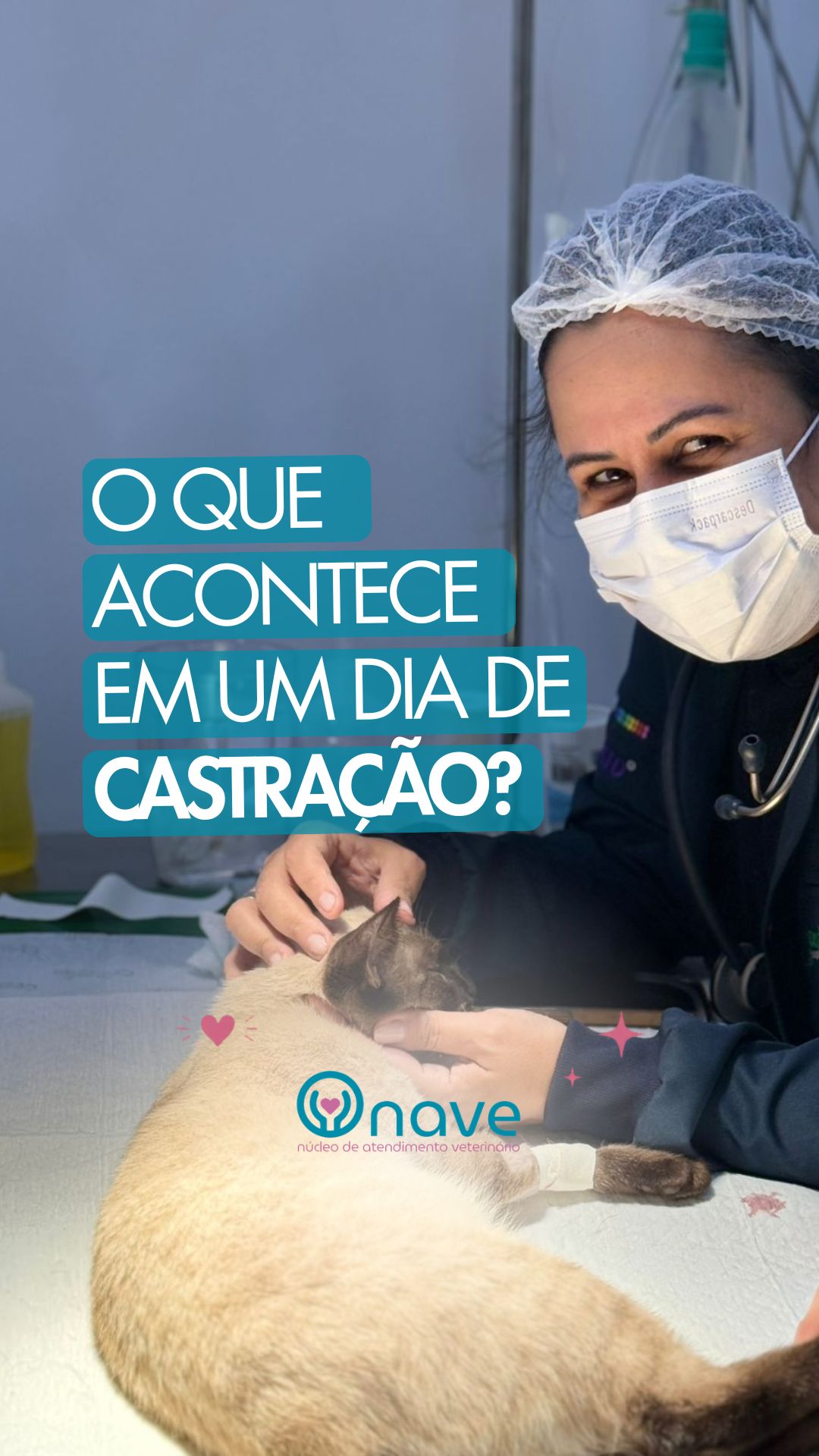 Castrar é um ato de amor